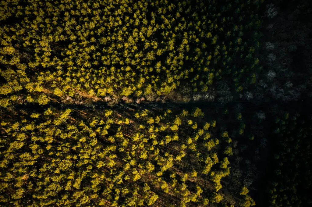 DRONESHOTS — 5