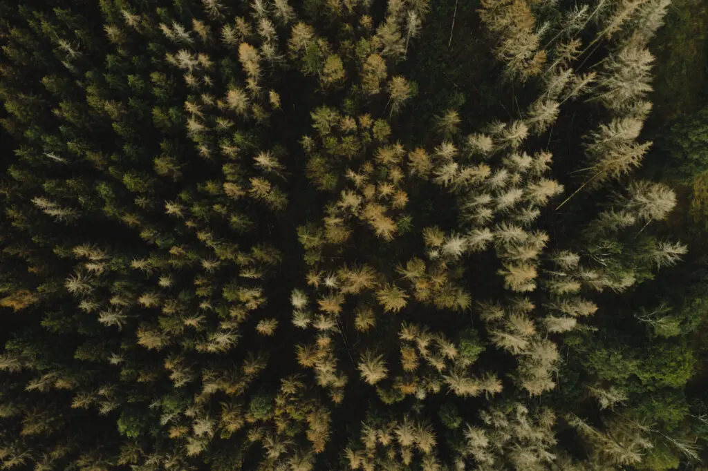 DRONESHOTS — 1