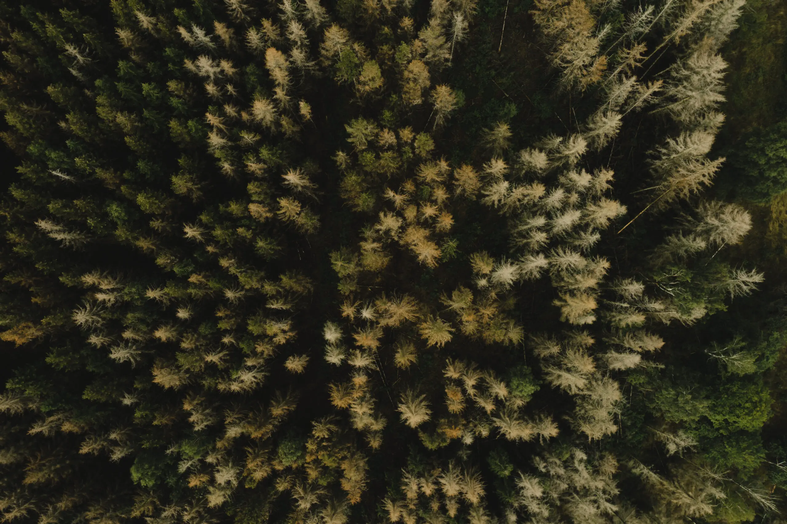 DRONESHOTS — 1